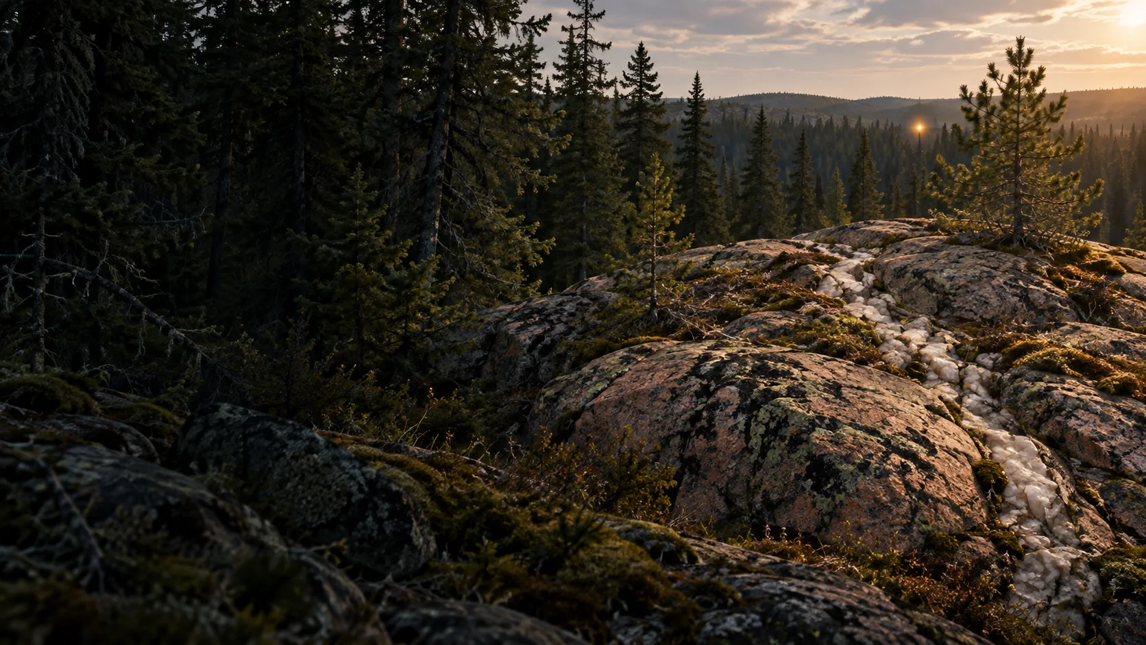 Conceptual illustration of a quartz-veined rocky clearing among Manitoba pines, with a small distant light beyond the trees.